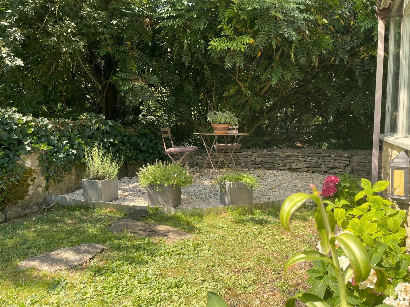 image00007.jpeg